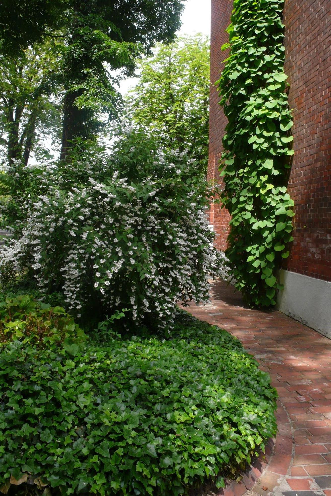 Pension Villa Fortuna Lübben Exterior foto